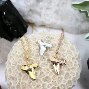 Bite Me // Shark Tooth Necklace, Gold, Sterling Silver, Rose Gold, Animal Friendly // BH-N018